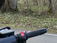 IMG_9714.jpeg