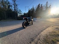 IMG_1003.jpeg