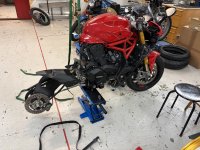 IMG_2635.jpeg