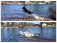 IMG_2932.jpeg