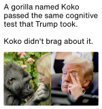 1778034563021.png