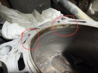 IMG_1681.jpeg