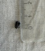 IMG_1685.jpeg