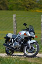 DSC_6609_s.JPG