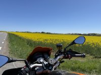 IMG_9749.jpeg