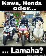 FB_IMG_1778331048483.jpg