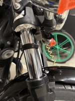 IMG_2060.jpeg