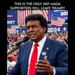 1778464872466.png