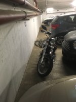 IMG_0139.jpeg