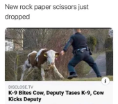 1778593788655.png