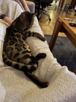 IMG_0884.jpeg
