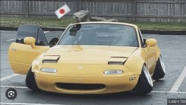 IMG_2955.jpeg