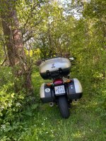 IMG_6782.jpeg