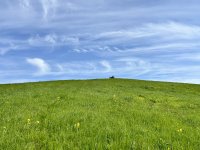 IMG_8460.jpeg