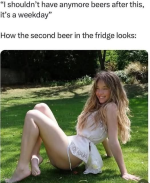 1780418893197.png