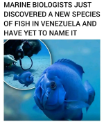 1780666911694.png
