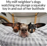 1780677775444.png