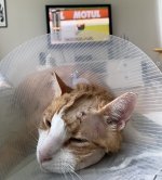 IMG_0259.jpeg