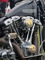 IMG_3655.jpeg