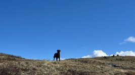 IMG_7083.jpeg