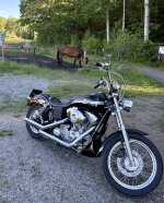 IMG_8937.jpeg