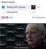 1000060491.jpg