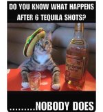 FB_IMG_1781636044635.jpg