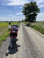 IMG_6820.jpeg