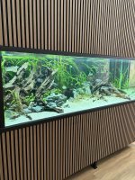 IMG_0042.jpeg