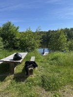 IMG_3760.jpeg