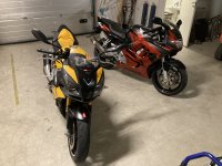 IMG_9206.jpeg