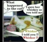 FB_IMG_1782075801905.jpg