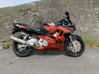 IMG_9150.jpeg