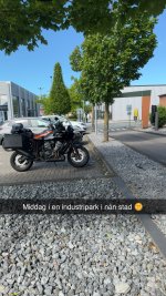 IMG_3809.jpeg IMG_3809.jpeg