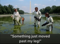 1782353427926.png