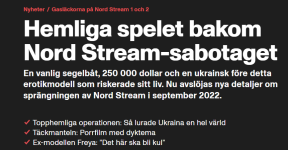 1782492283020.png