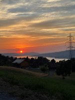 IMG_3853.jpeg