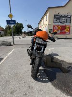 IMG_9939.jpeg
