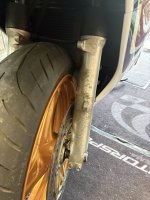 IMG_9080.jpeg