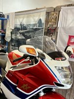 IMG_9110.jpeg