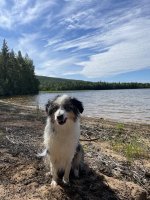 IMG_0375.jpeg