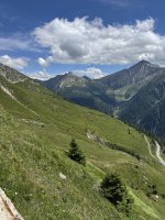 IMG_4084.jpeg