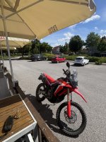 IMG_8031.jpeg IMG_8031.jpeg