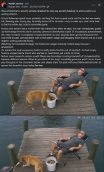 1783797040070.png