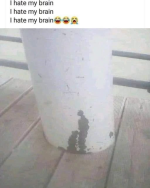 1783845217766.png