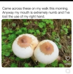 1783966005778.png