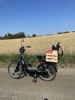 IMG_6945.jpeg IMG_6945.jpeg