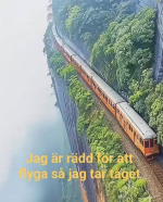 1784395045176.png