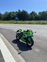 IMG_4474.jpeg IMG_4474.jpeg