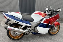 IMG_9420.jpeg